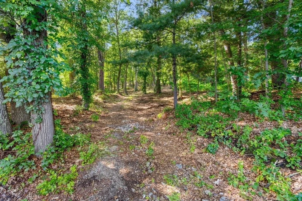 Photo of 45 Pineswamp Rd