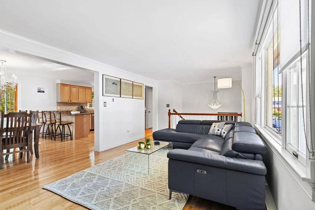 Photo of 3 Young St