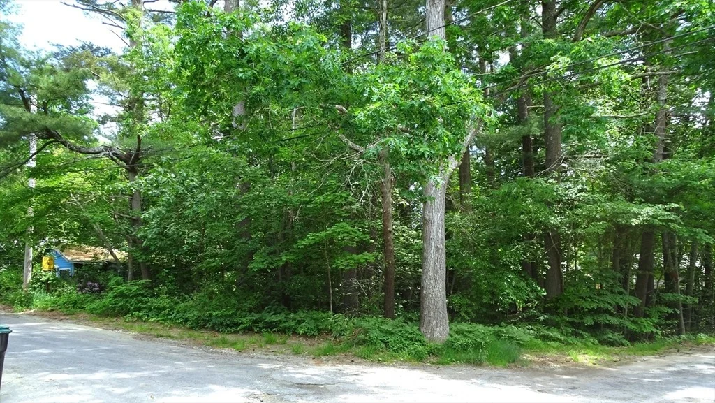 Photo of 20 Thirteenth Ave