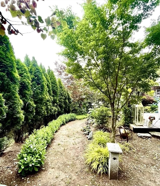 Photo of 5 Longview St