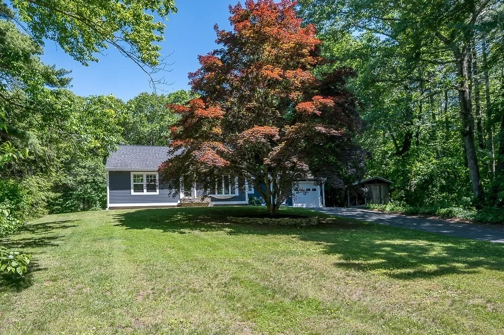 Photo of 29 Carr St