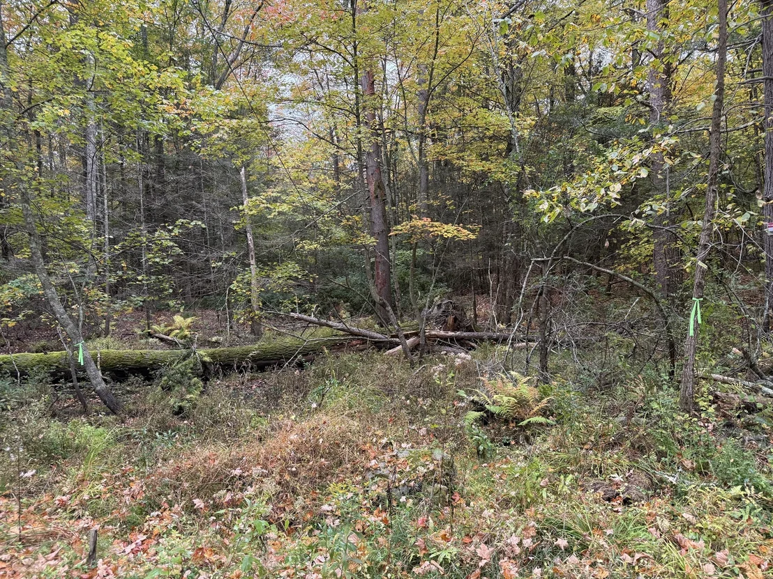 Photo of 0 Old Stage Rd