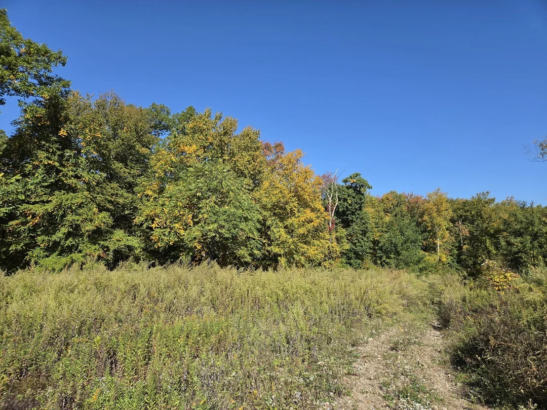 Photo of Lot 5A South Rd