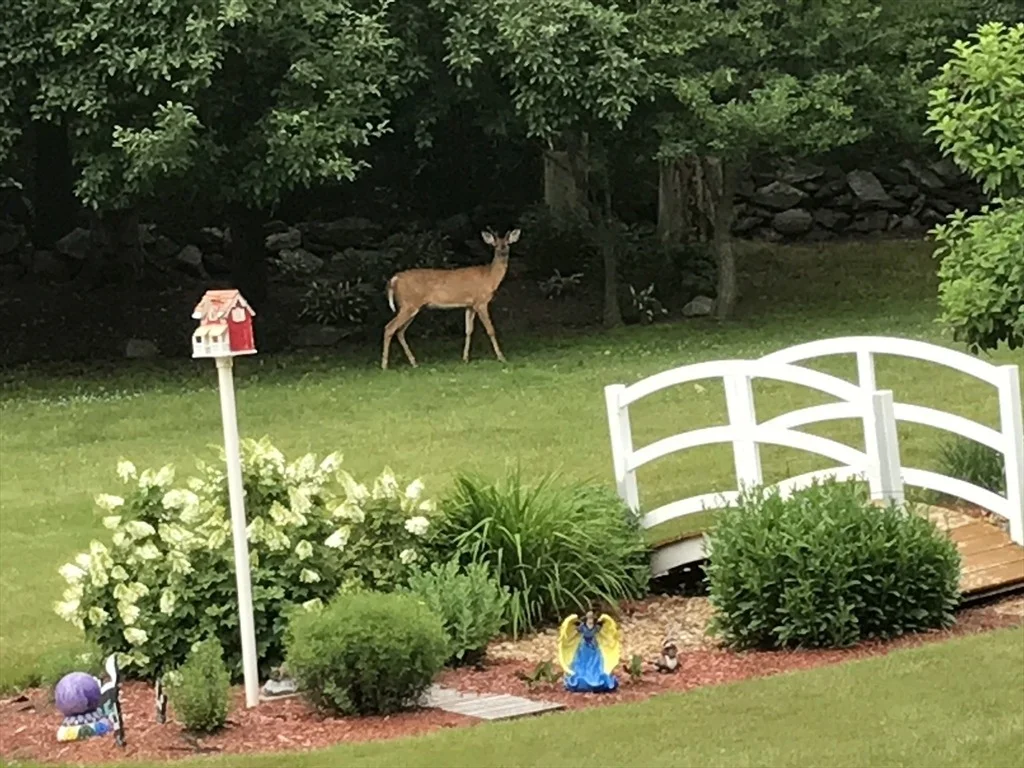 Photo of 3 Joyce Dr