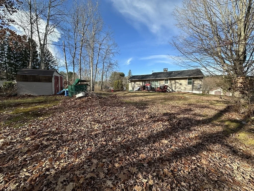 Photo of 3 Sylvia St