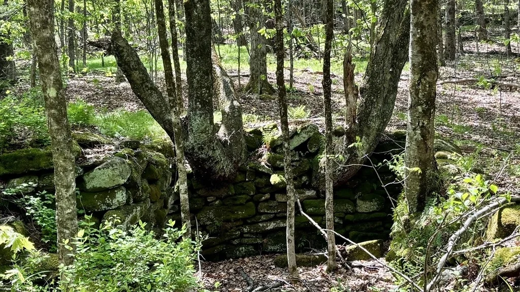 Photo of 66 Reils Lane