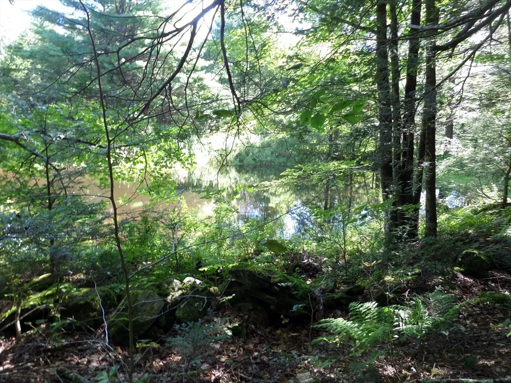 Photo of 155 River Rd