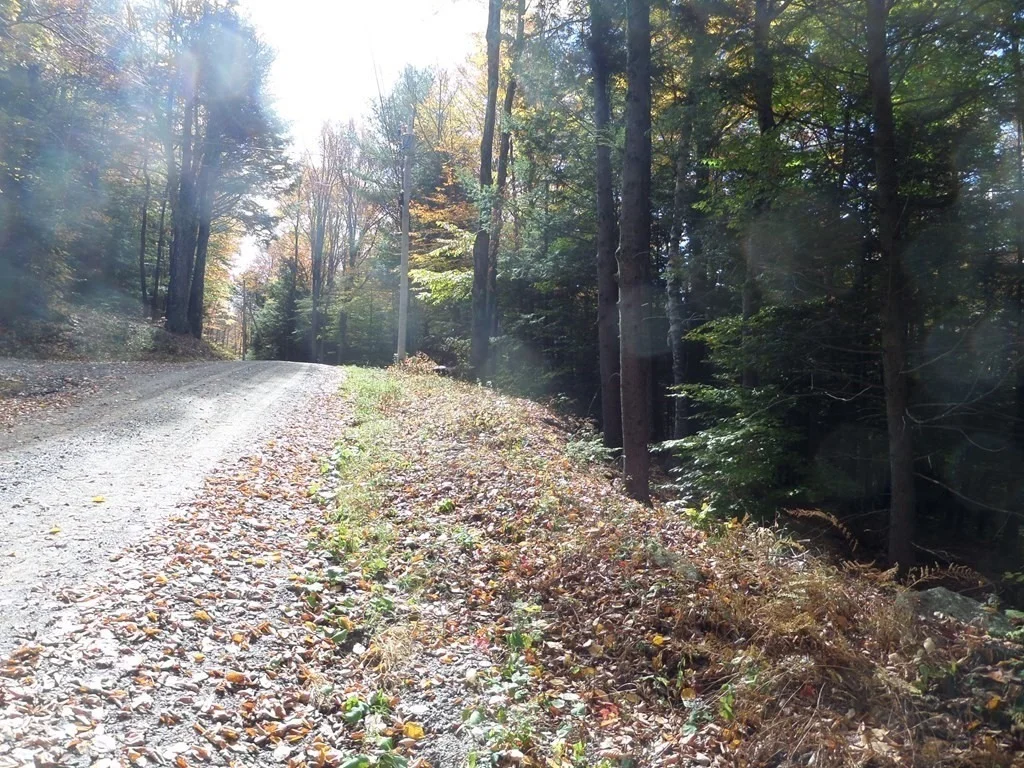 Photo of 0 Thayer Hill Rd