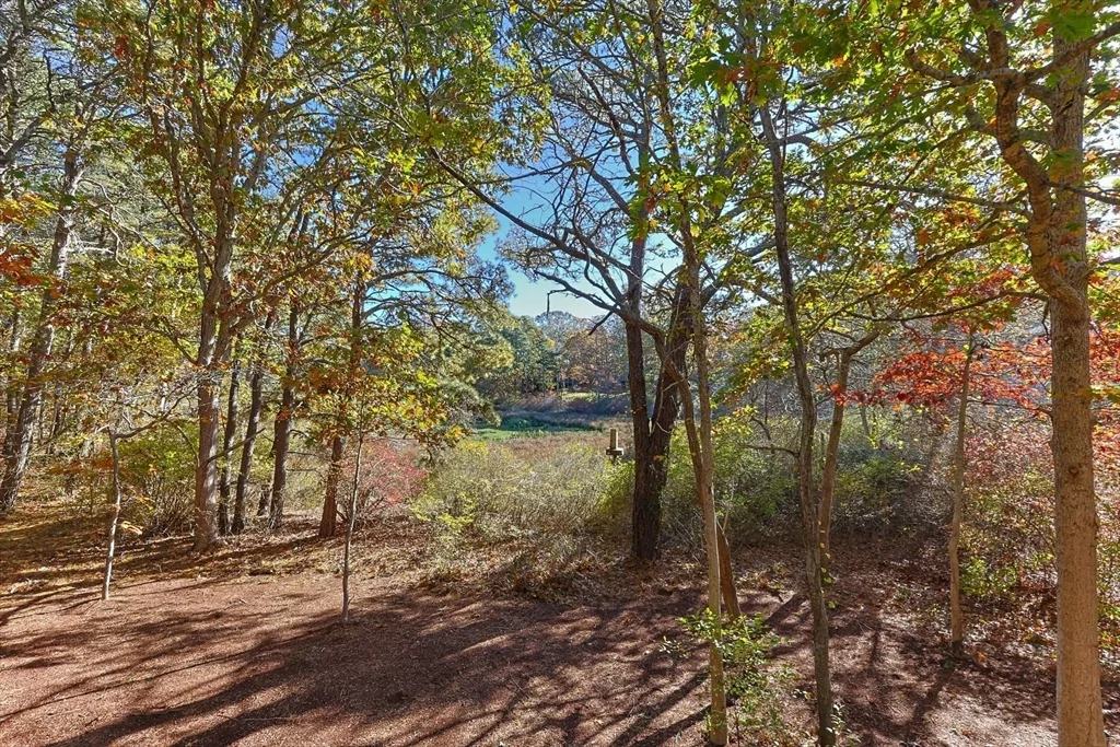 Photo of 60 Briggs Field Rd