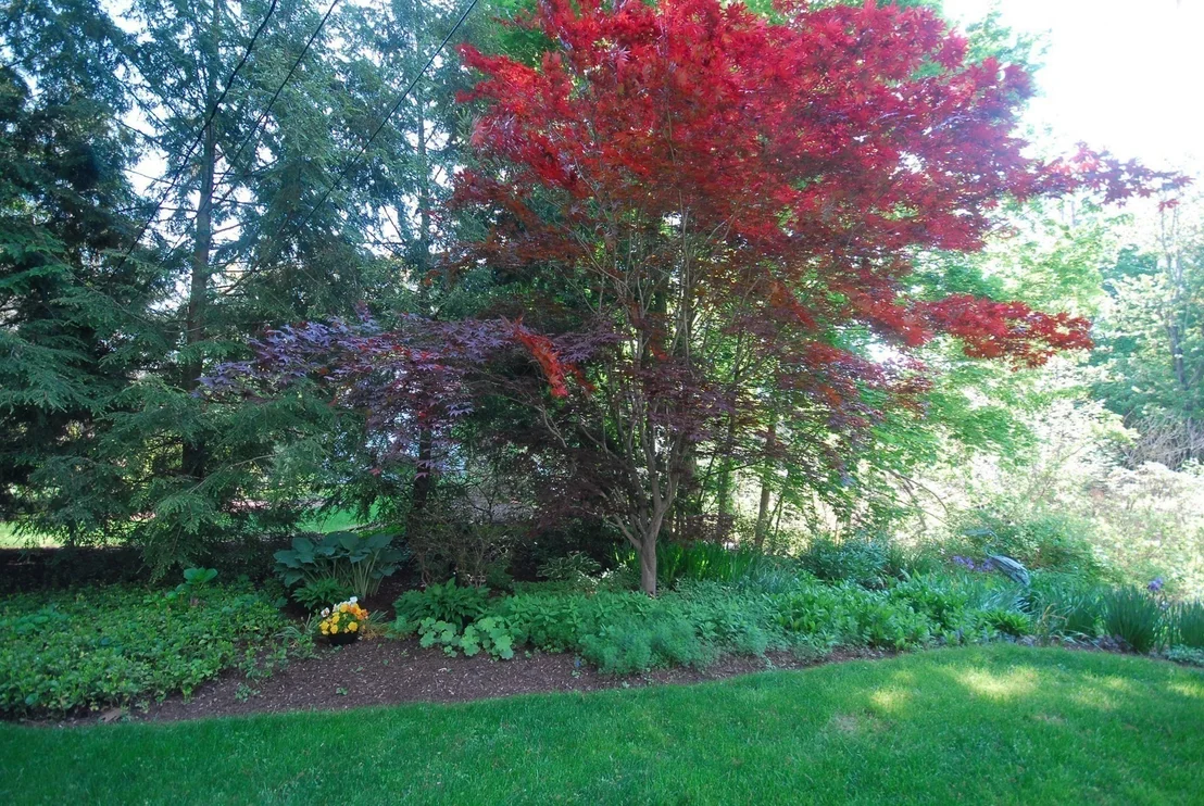 Photo of 116 Martin Road
