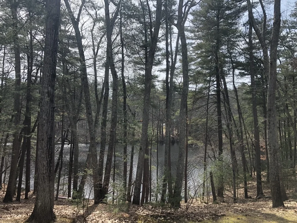 Photo of 25 Raynor Rd