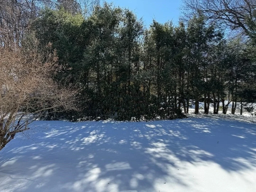 Photo of 49 Metcalf St
