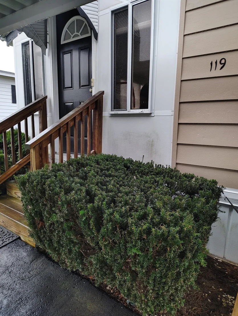 Photo of 119 Paul Street