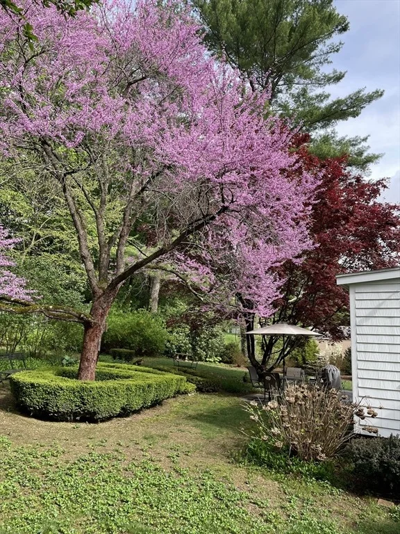 Photo of 20 Lee Road