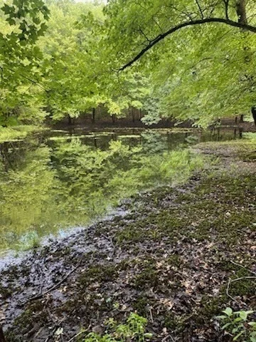 Photo of 723 Ryan Road, Lot B