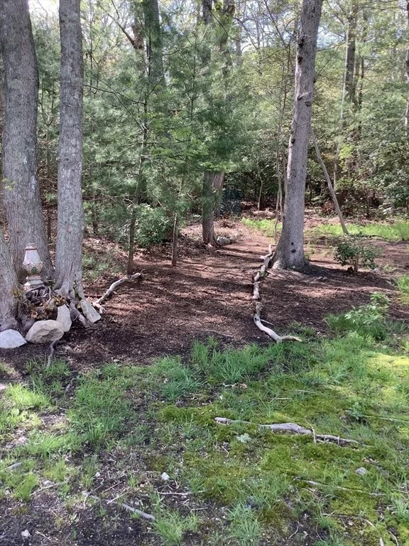 Photo of 49 Great Hill Dr