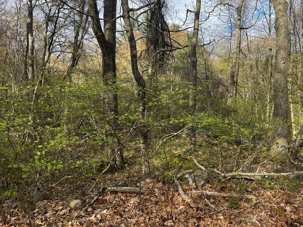 Photo of 27 Pleasant St. Lot 1