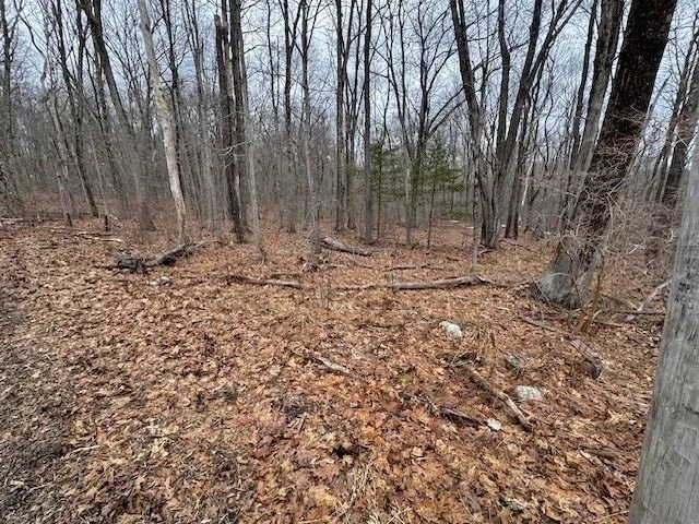 Photo of Lot 4 Gould Road