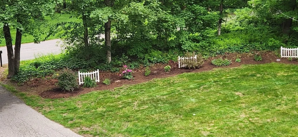 Photo of 137 Hill