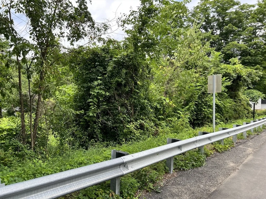 Photo of 0 Main St