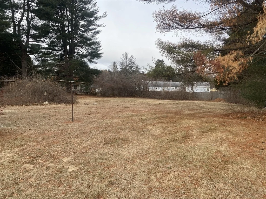 Photo of 195 Batchelor