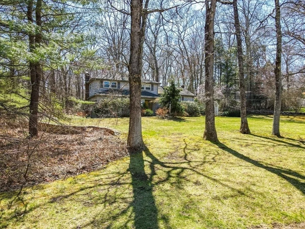 Photo of 51 Saxon Road
