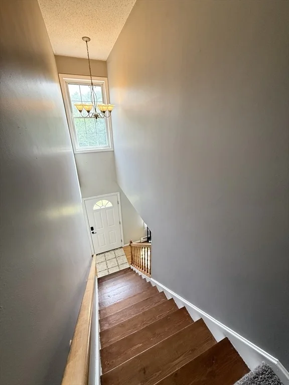 Photo of 222 Bridge St