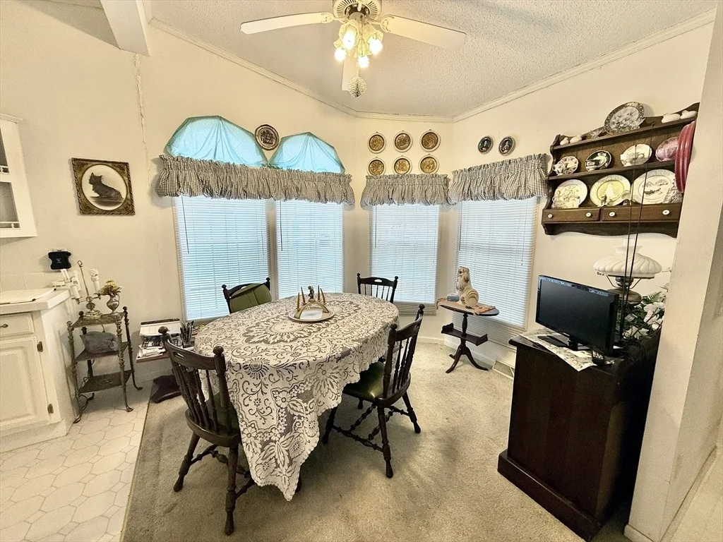 Photo of 11 Gala Way