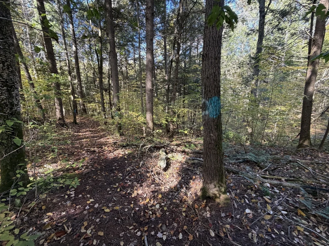 Photo of 232 River Rd