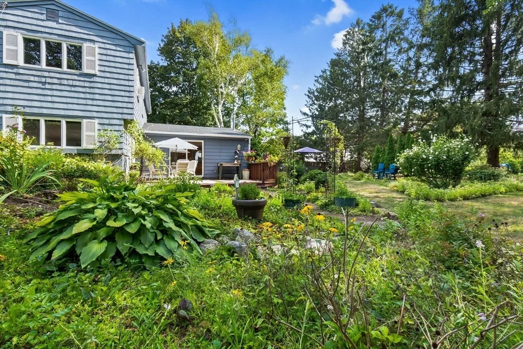 Photo of 38 Pickering Street