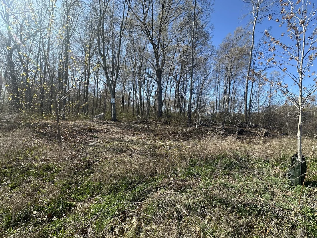 Photo of 12 Ciana Rd