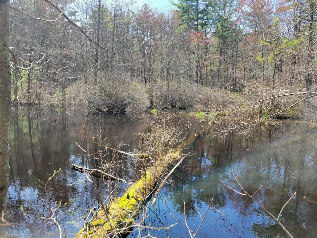 Photo of Lot 3 Daniels Rd