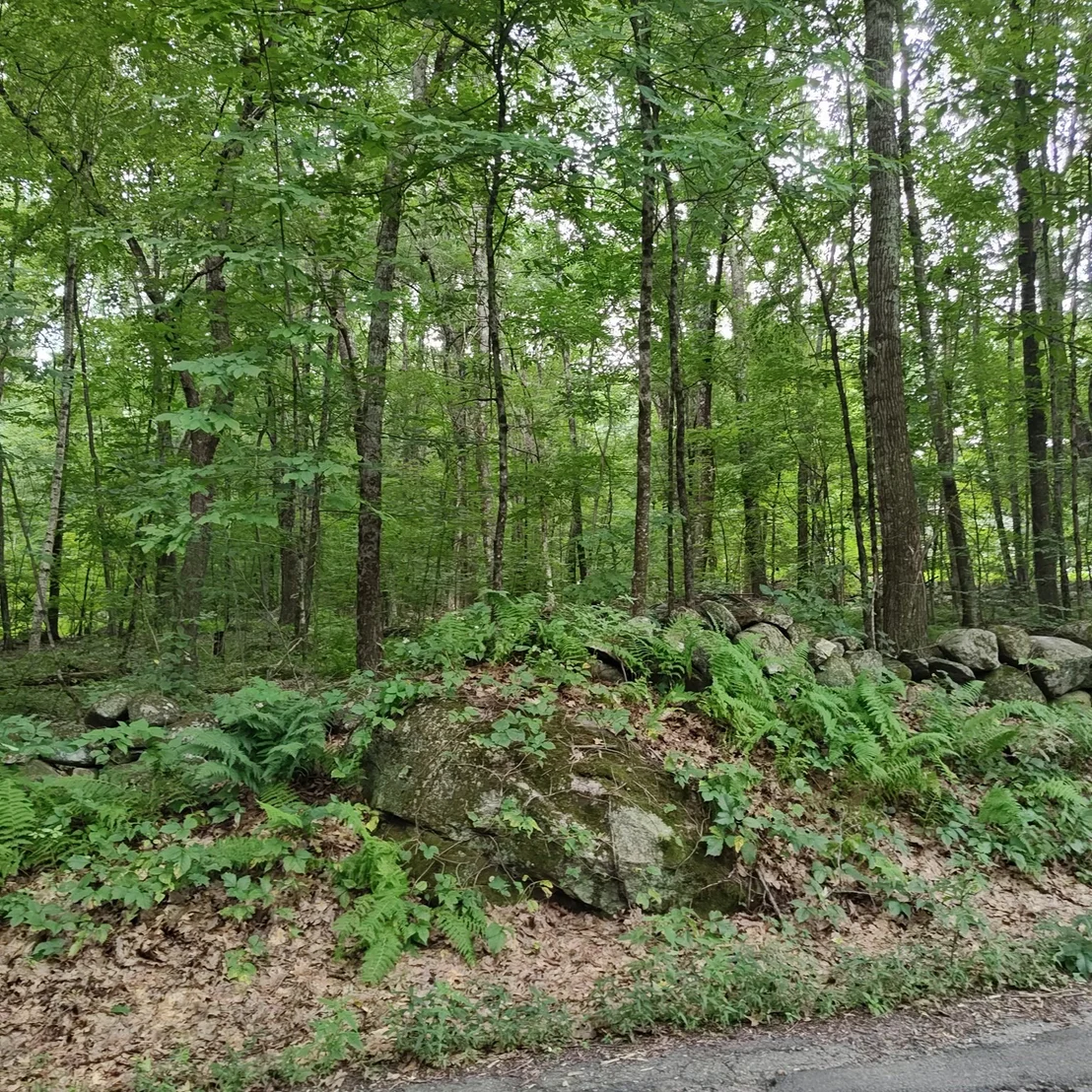 Photo of 0 Old West Brookfield Rd