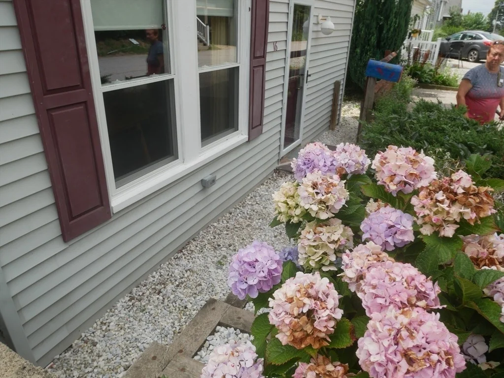 Photo of 16 Hillside Rd