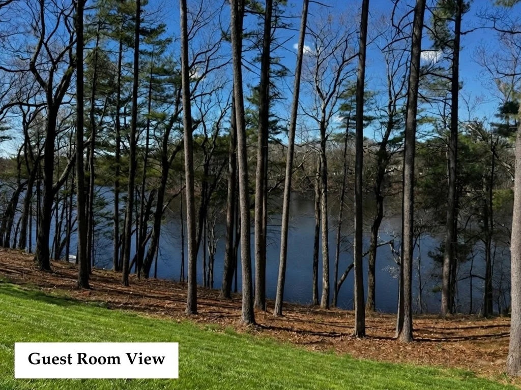 Photo of 31 Arcadia Road