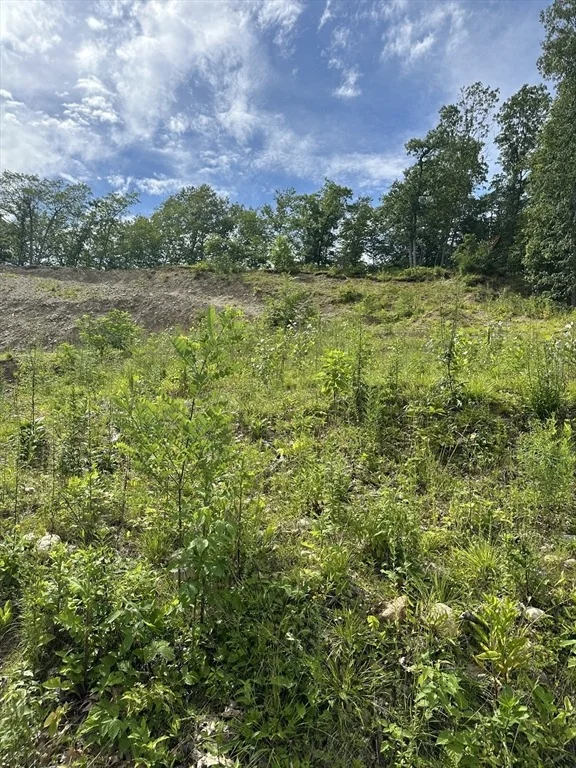 Photo of 33 Walsh Ave