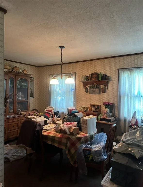 Photo of 19 Burt St