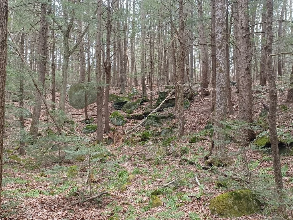 Photo of 296 Northwest Road