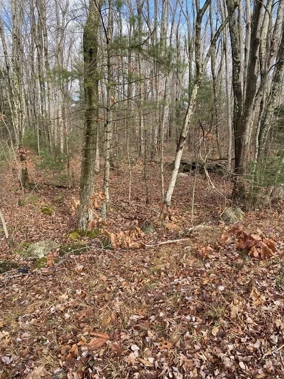Photo of Lot 169-22 Beebe Rd