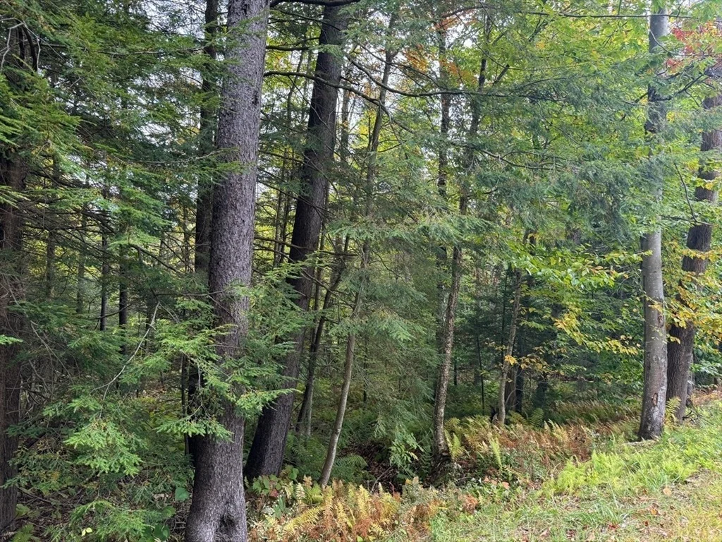 Photo of 60 Stone Hill Road