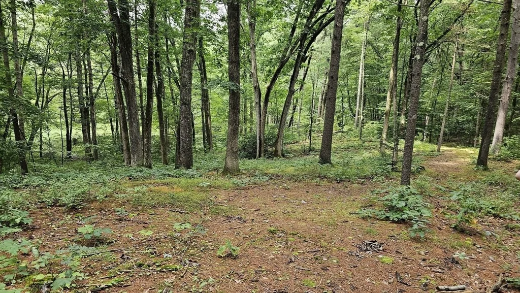 Photo of 723 Ryan Road, Lot B