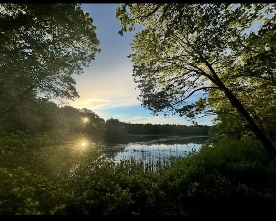 Photo of 12 Salt Marsh Ln