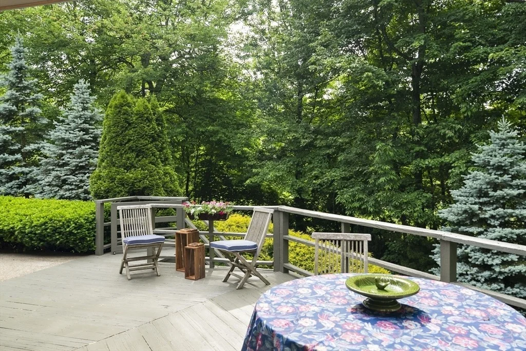 Photo of 550 Wolf Swamp