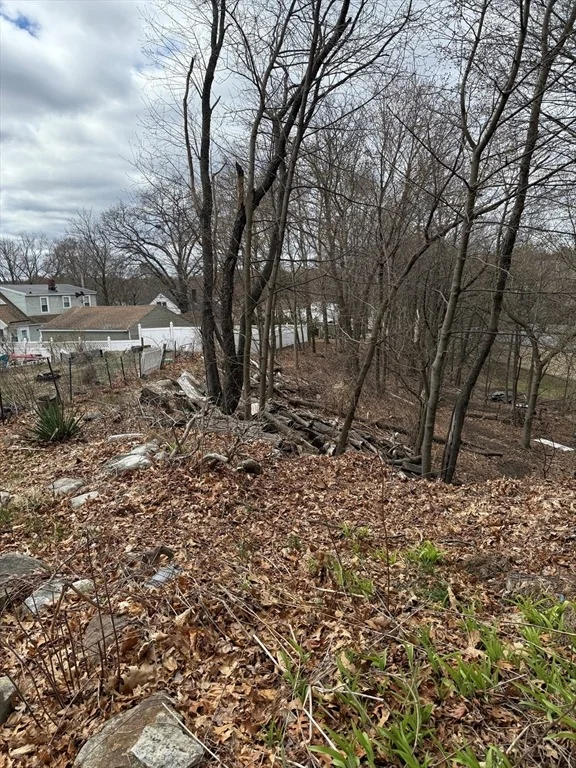 Photo of 0 Madison St (Rear)