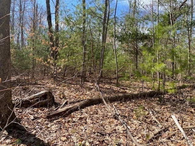 Photo of 6-L New Athol Rd