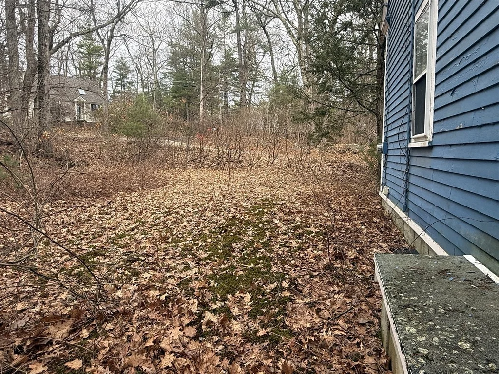 Photo of 10 Sycamore Rd