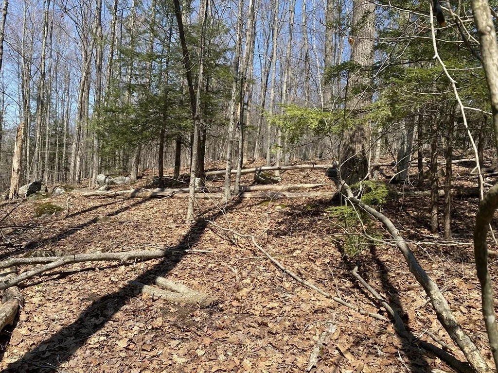 Photo of Lot 15 Colebrook River Rd