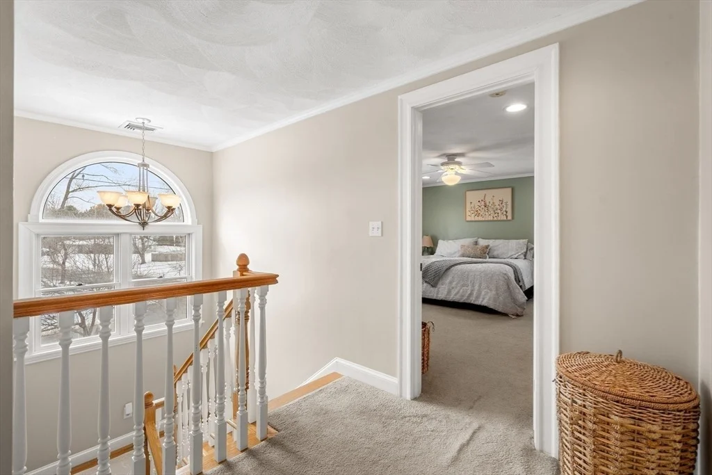 Photo of 7 Belfast Rd.