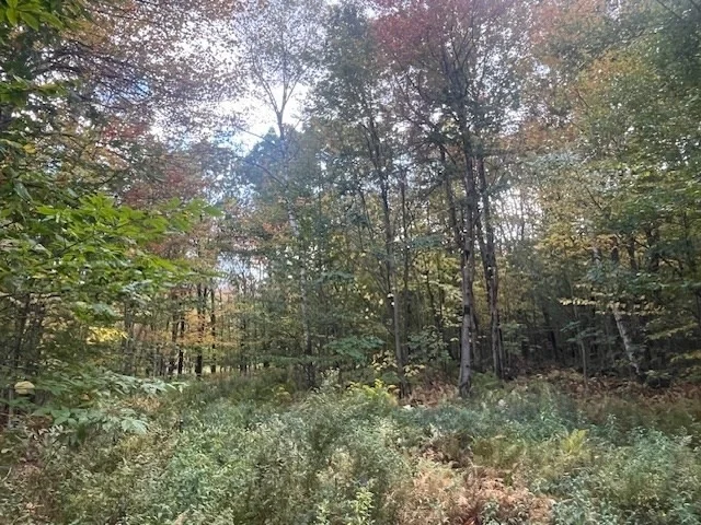 Photo of 0 Stryker Road