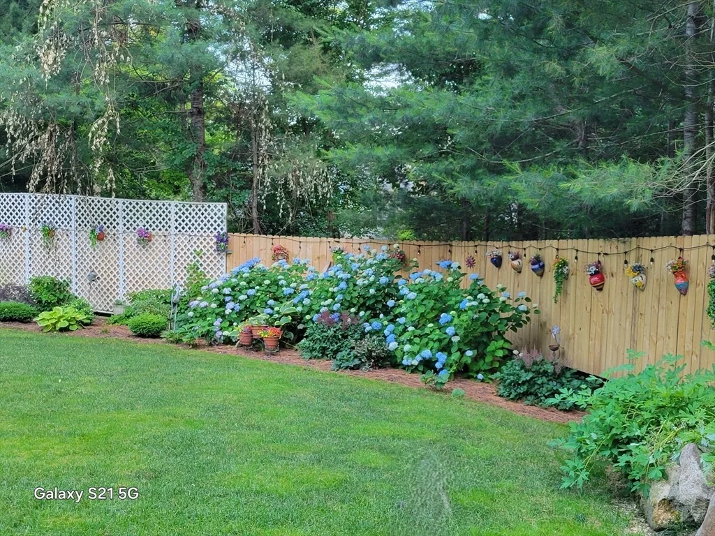 Photo of 65 Black Oak Road